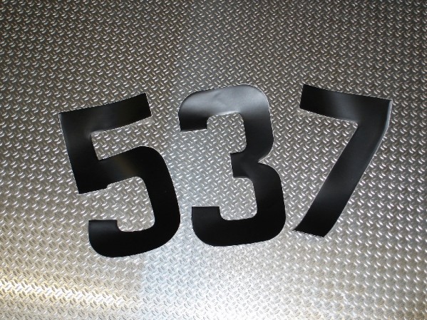 9 Race Number 6 or 9 - std