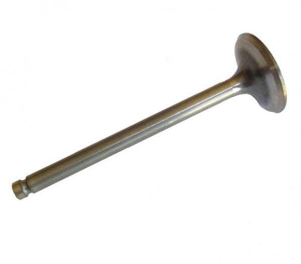 Exhaust Valve - F/J 1.300