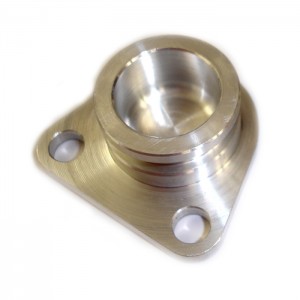 Cam cover blanking plug