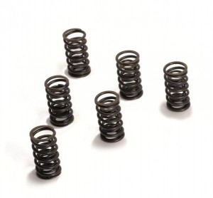 Race Valve Spring Set - Jaguar