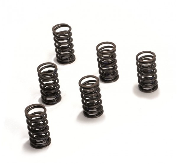 Heavy Duty Valve Springs - Fast road