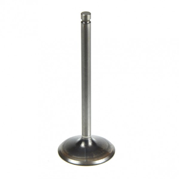 Exhaust Valve - 100/S