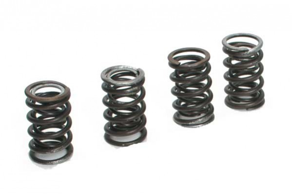 Valve Spring Set - 100/S