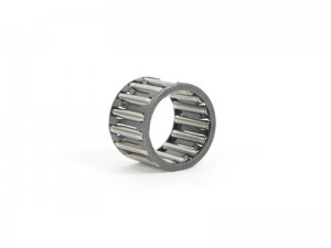 Caged Needle Roller Bearing