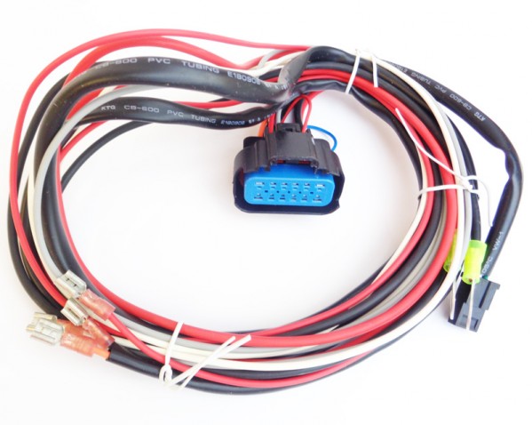 Wiring Harness - MSD 6AL Ignition Box