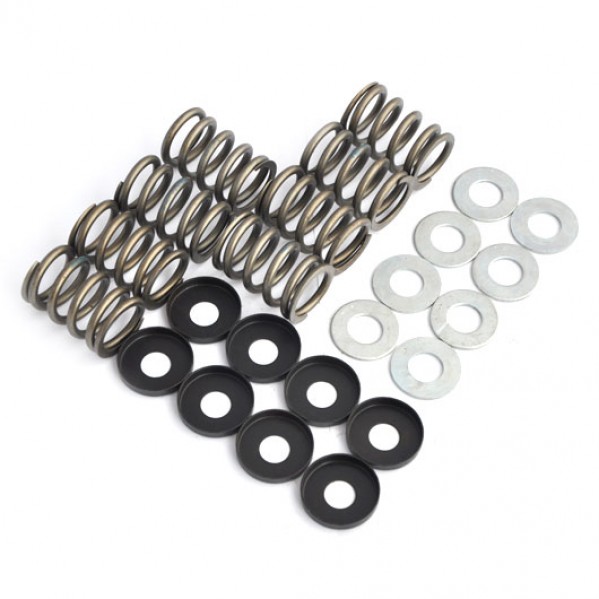 Valve Spring Set - Competition 4 Cylinder