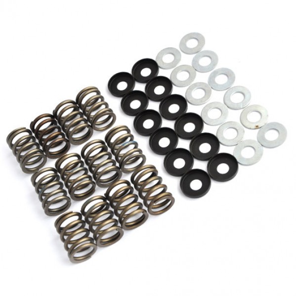 Valve Spring Set - Competition 6 Cyl