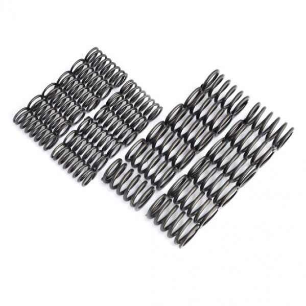 Heavy Duty Valve Spring Set