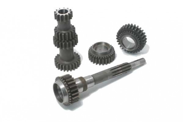 Tulip Straight Cut Gear Set