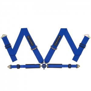 Blue FIA Harness