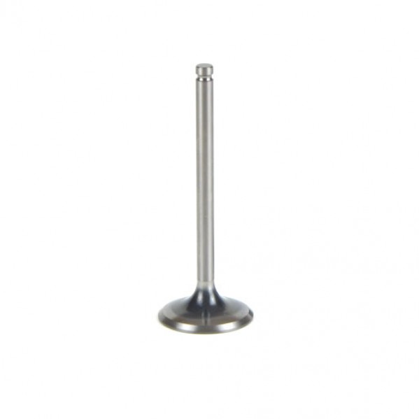 Exhaust Valve  1.687 - W/A