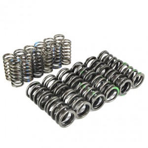 W/A Race Valve Spring Set