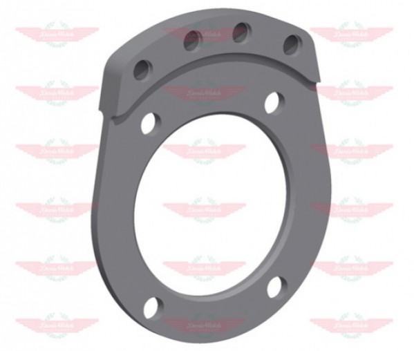 100S Rear Caliper Mtg Bracket