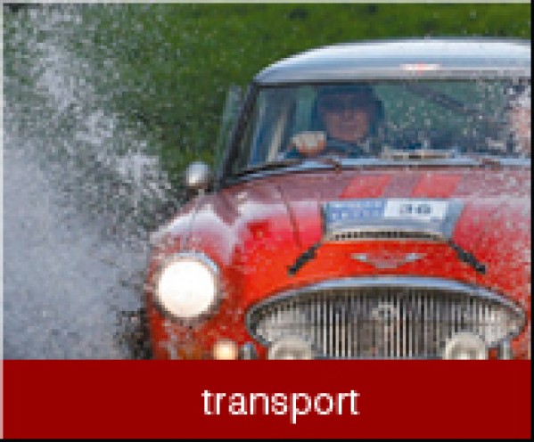 Austin Healey 3000 MK II 1961  FIA Race CAR - 67500-00 EURO